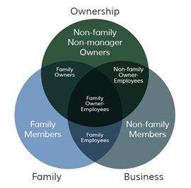 THREE-CIRCLE MODEL OF THE FAMILY BUSINESS SYSTEM