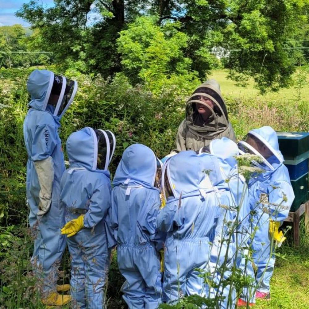 Beekeeping school thrives with Business Gateway and DigitalBoost